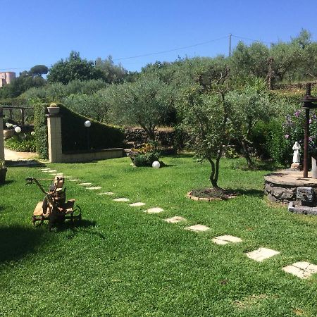 B&B Etna Ranch ปิเอดิมอนเต เอตเนโอ ภายนอก รูปภาพ